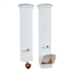 Royal Rooster Duck Feeder and Drinker Set with Twin Cups