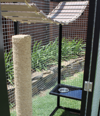 cat enclosure accessories