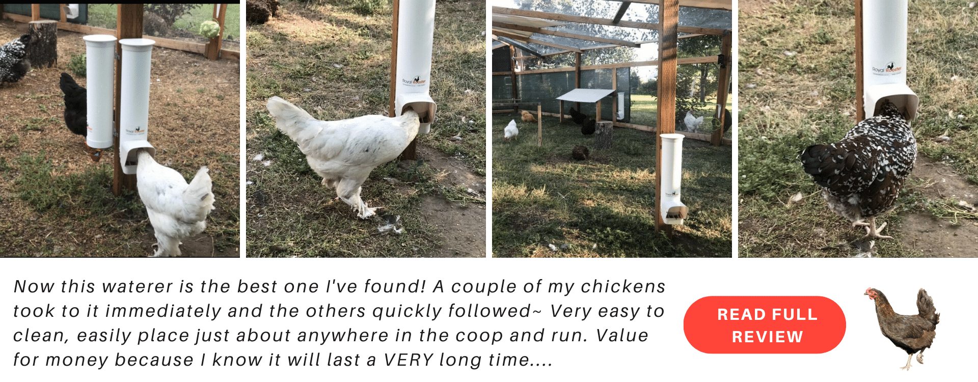 Australian Made Chicken Coops, Cat Enclosures, Bird Aviaries, Rabbit Hutches & Dog Pens