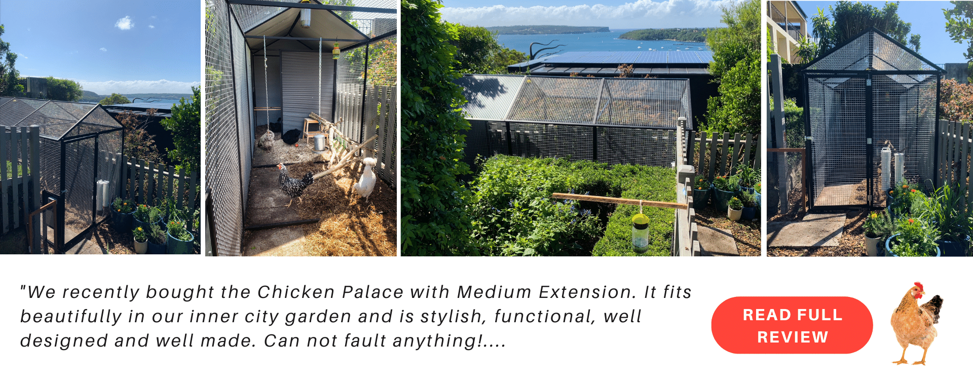 Australian Made Chicken Coops, Cat Enclosures, Bird Aviaries, Rabbit Hutches & Dog Pens