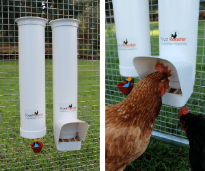 Drinkers And Feeders 1