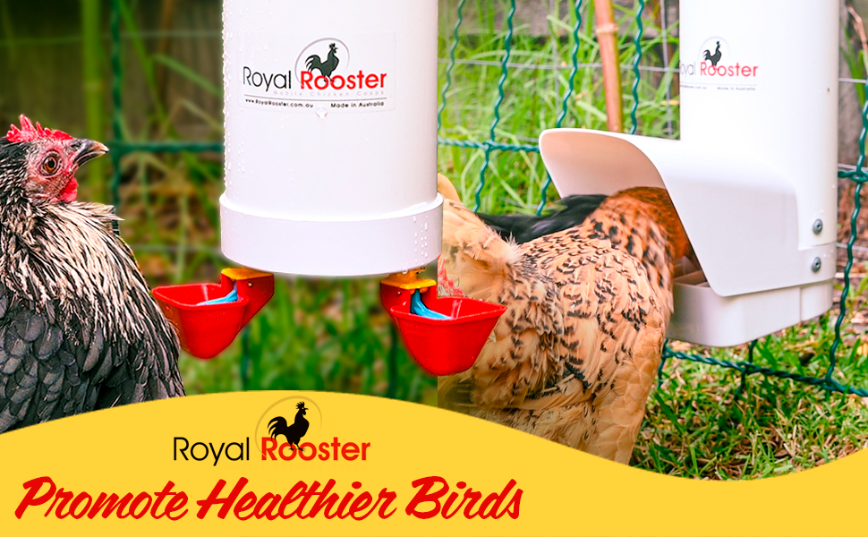 Royal Rooster feeder