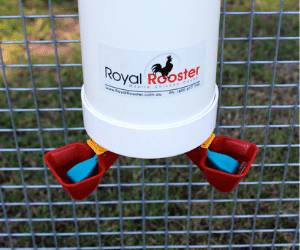 Twin Drinker Cups Close Twin Drinker Cups Close