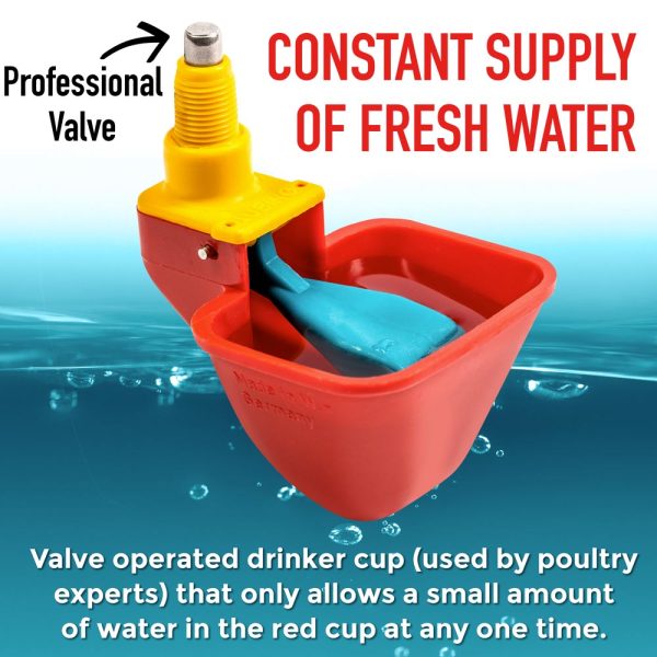 2 Valve 4Pack Water Holder 2