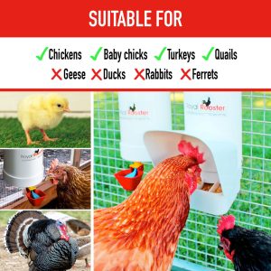 5 Feeder Suitable For Duo Holder 1
