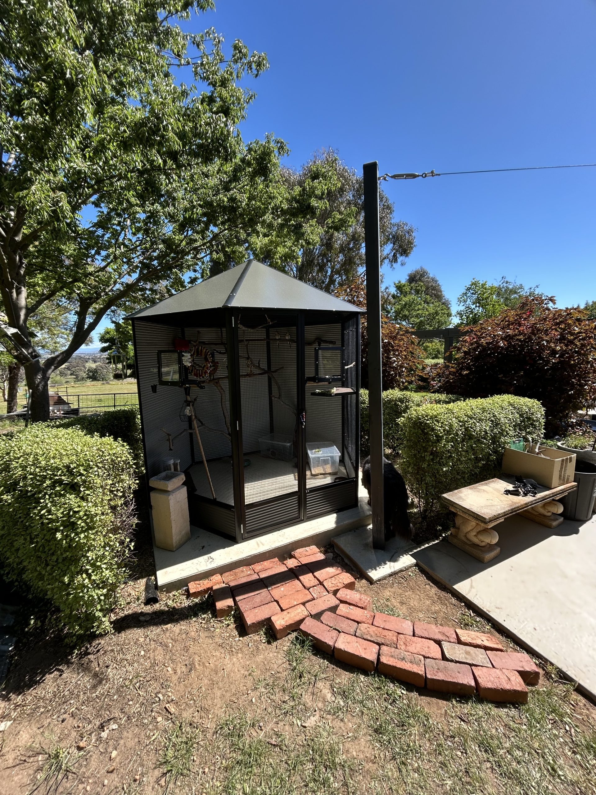 Img_8335 Img 8335 Scaled