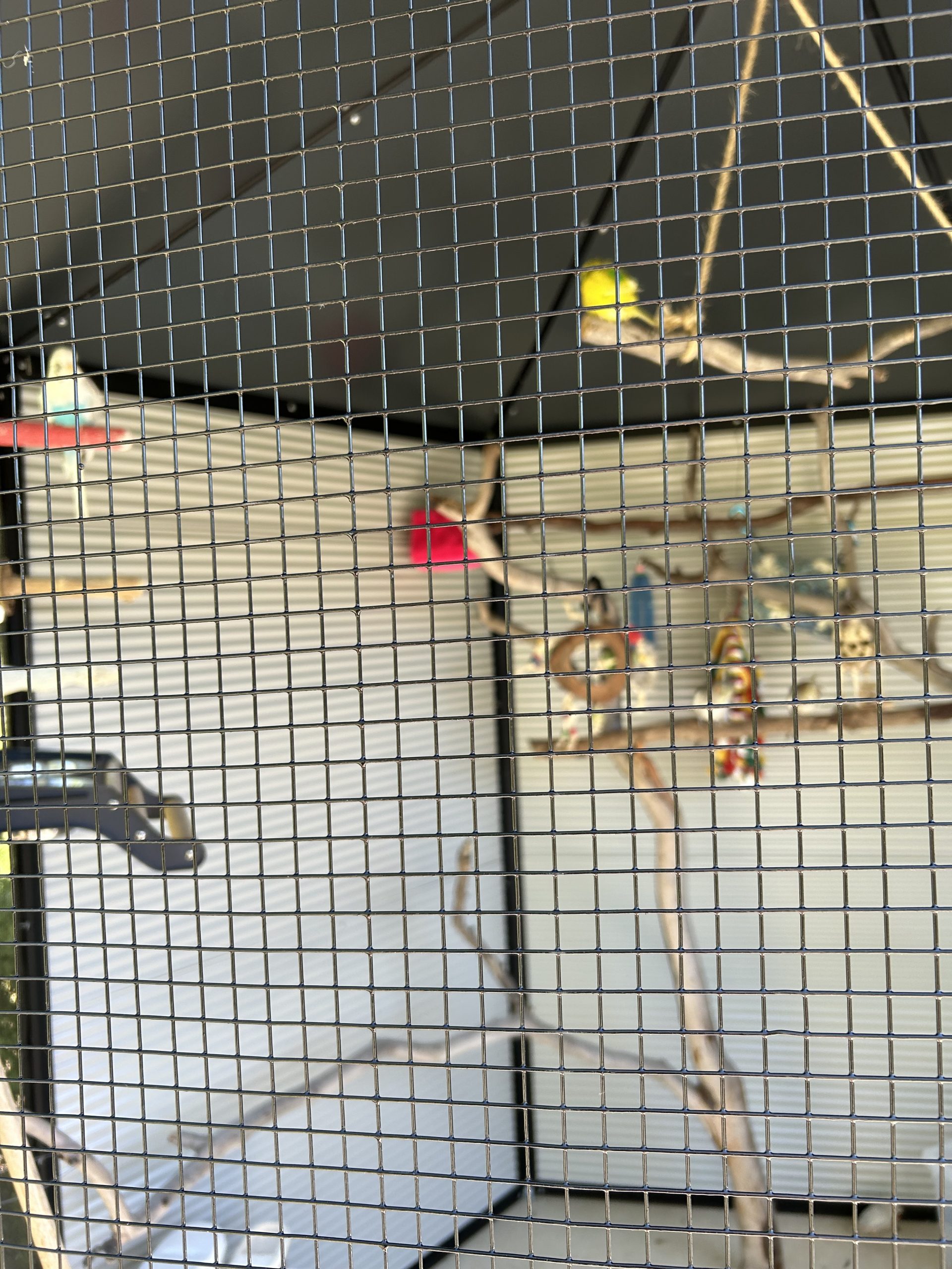 Img_8336 Img 8336 Scaled