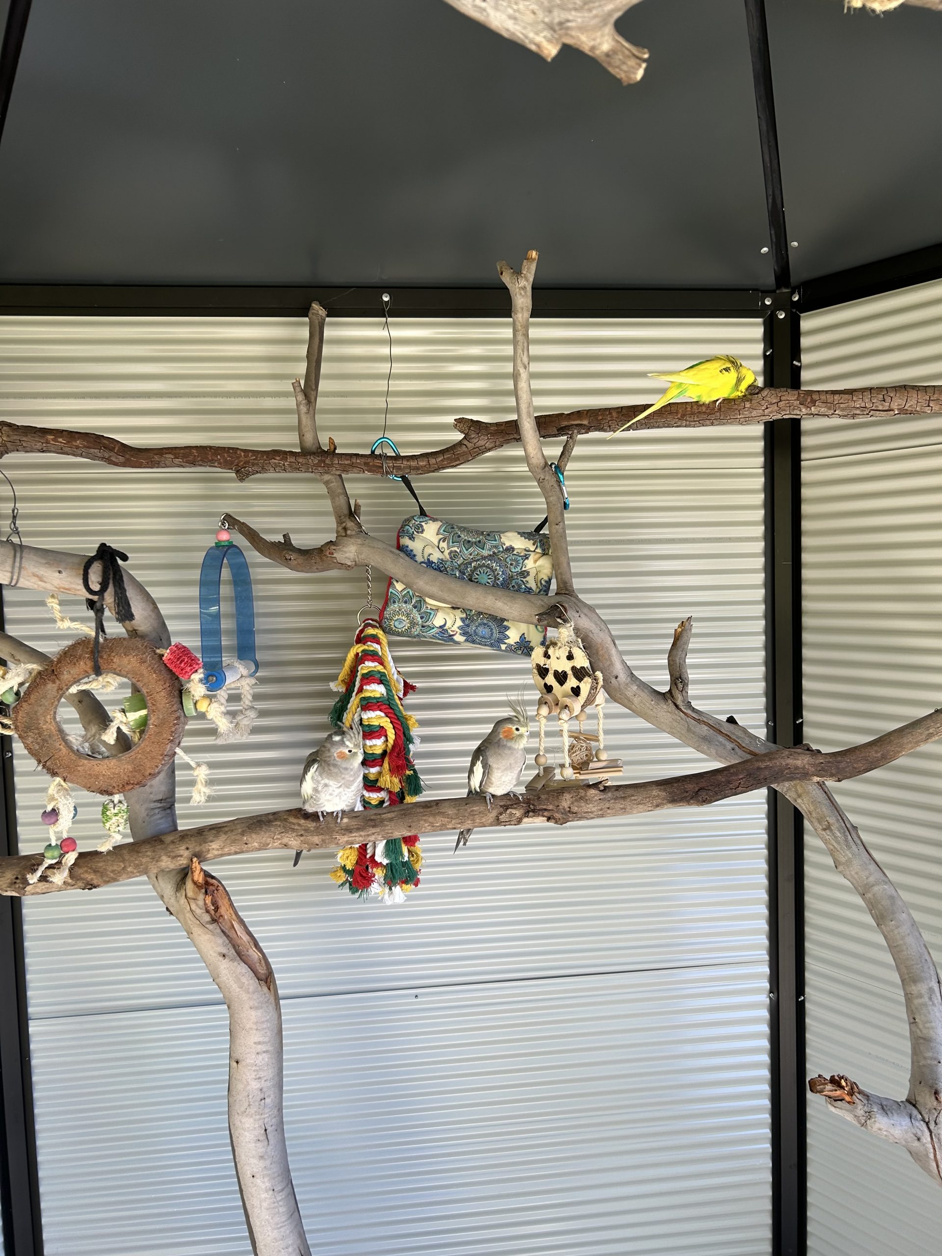 Img_8338 Img 8338 Scaled