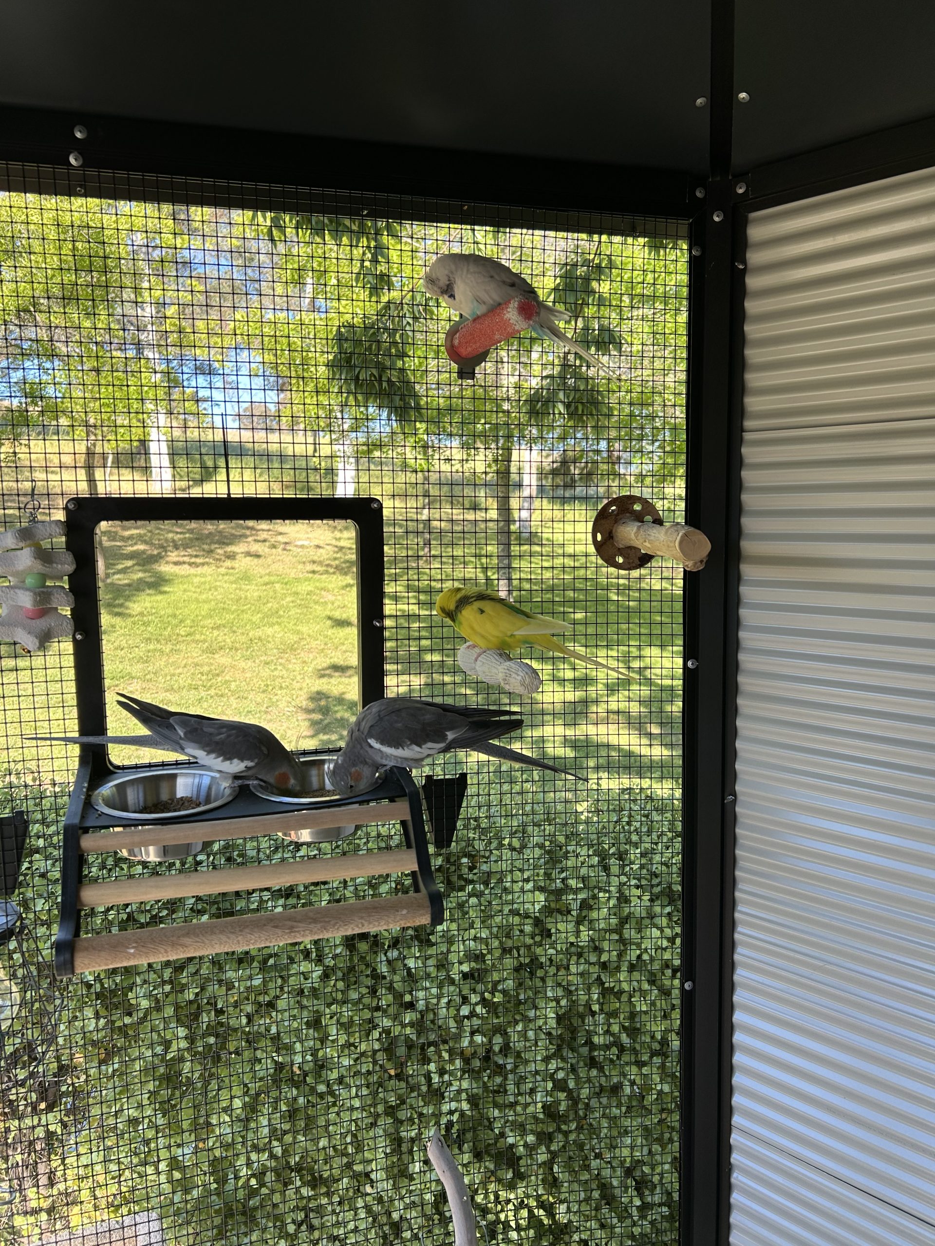 Img_8345 Img 8345 Scaled