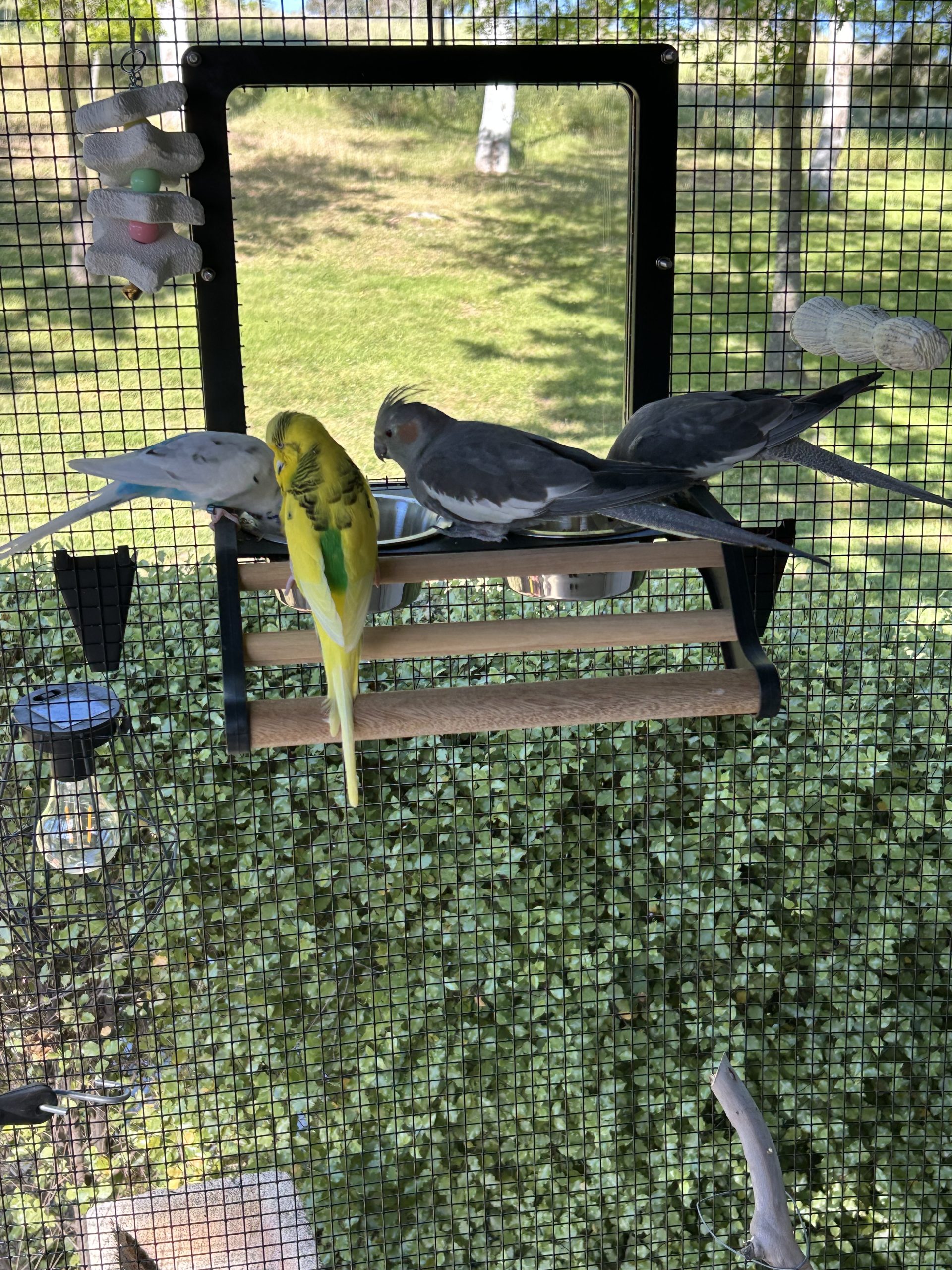 Img_8346 Img 8346 Scaled