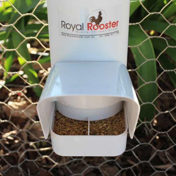 Duck Feeder Close