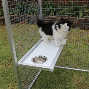 Feeder Shelf Cat 1