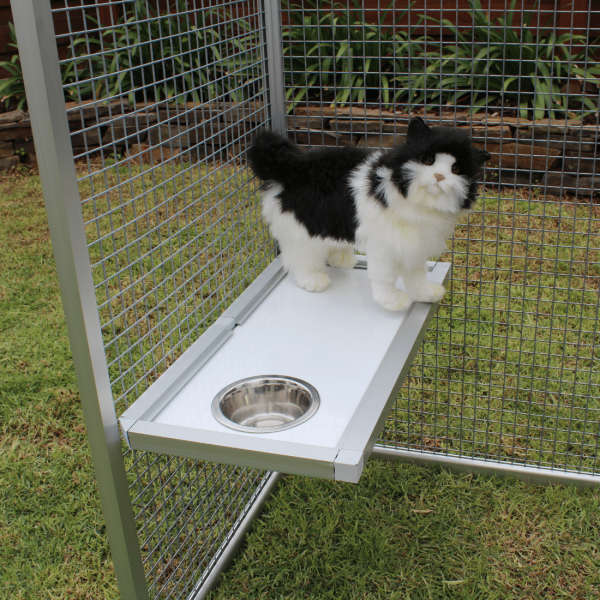 Feeder Shelf Cat 1
