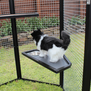 Hex Feeder Shelf Cat 1