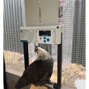 Chicken Access Door Mesh