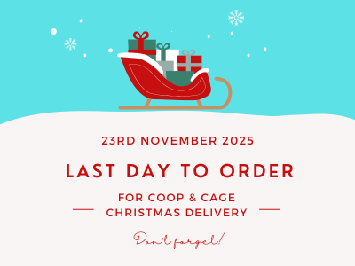 Last Day To Order 2025 2