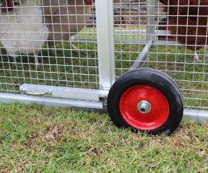 Wheel Upgrade
