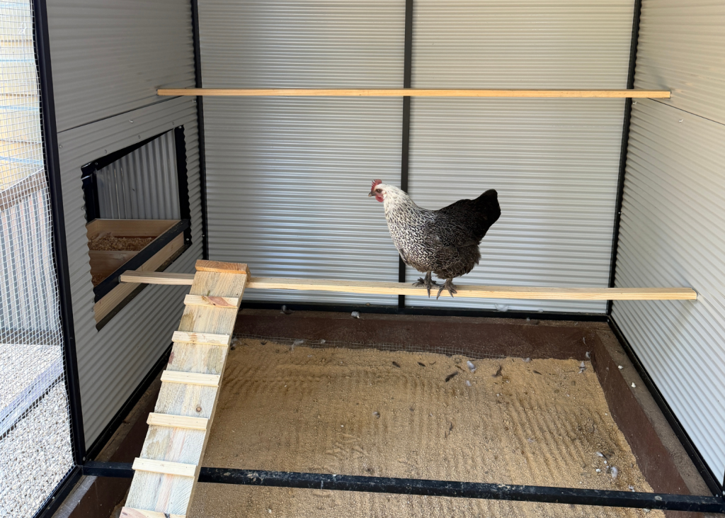 Flooring in a chicken coop