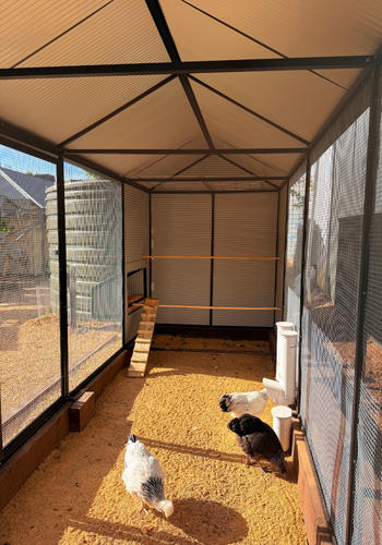 sand flooring in chicken coop