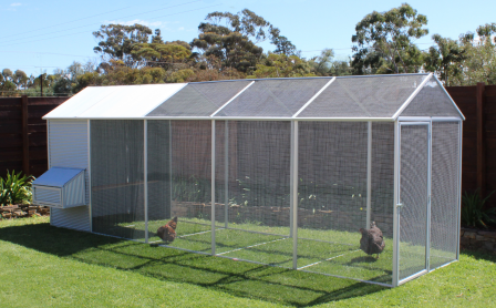 Backyard Chicken Coop Size