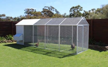 How Big Chicken Coop